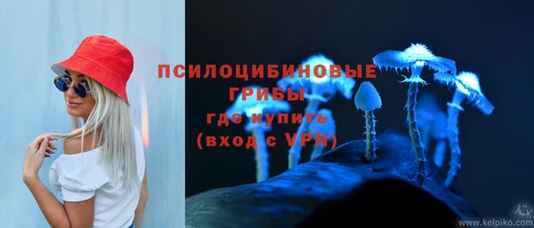 MESCALINE Медвежьегорск