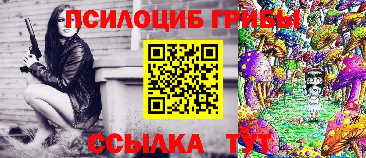 Петрозаводск  Псилоцибиновые грибы GOLDEN TEACHER  Псилоцибиновые грибы Cubensis  Вход с VPN 